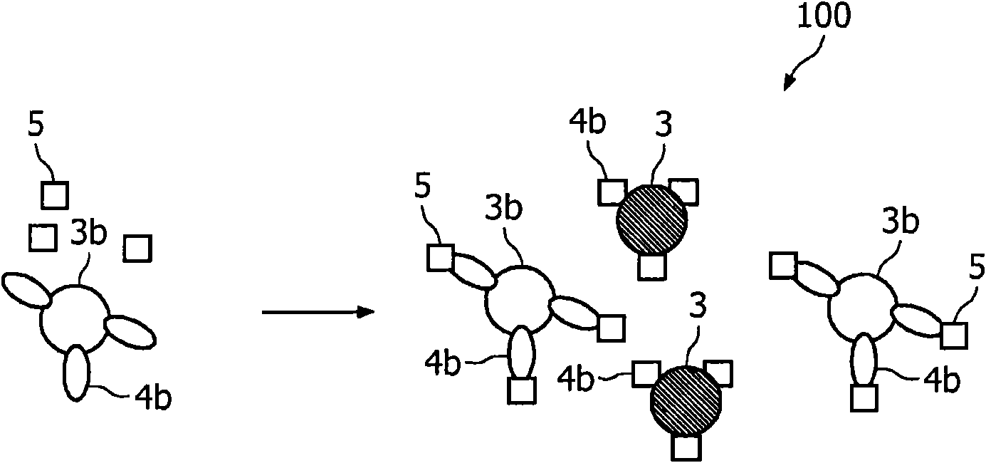 Measuring agglutination parameters