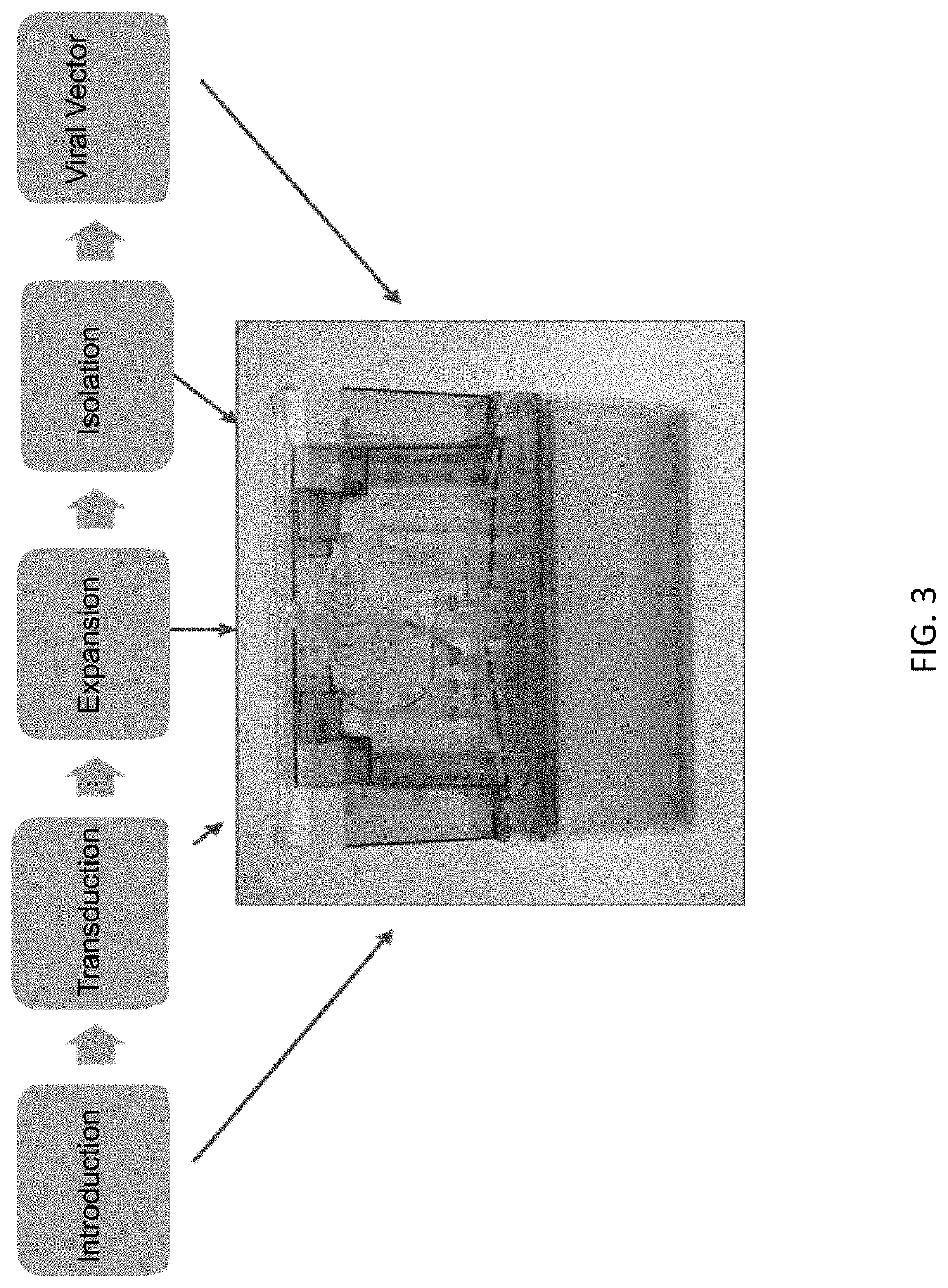 Automated production of viral vectors