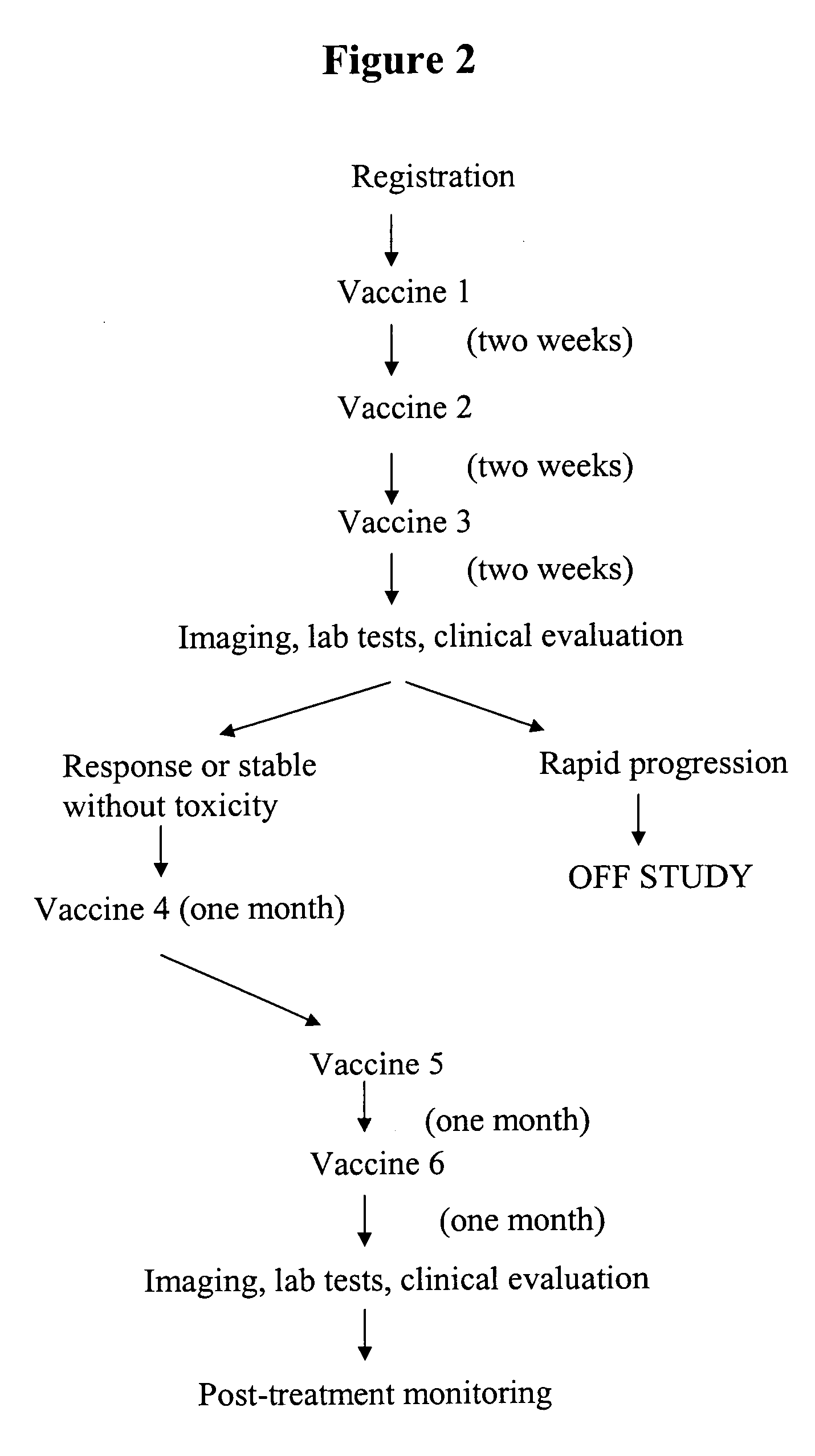 Novel breast cancer cell lines and uses thereof