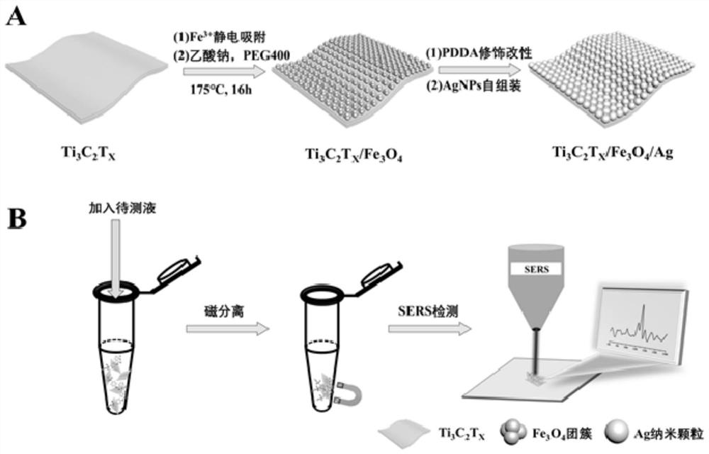 Magnetic nano composite material, preparation method thereof and application in SERS (Surface Enhanced Raman Scattering) detection