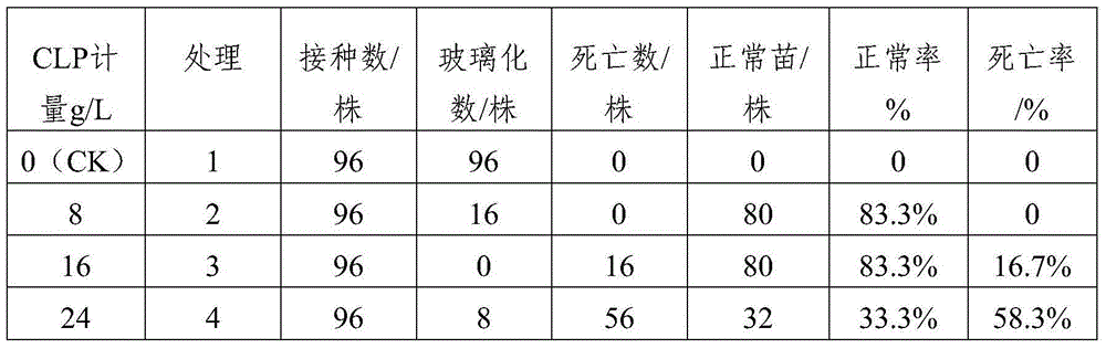 Method for overcoming vitrification in shoot tip culture of carnations by using high-molecular water-absorbent resin