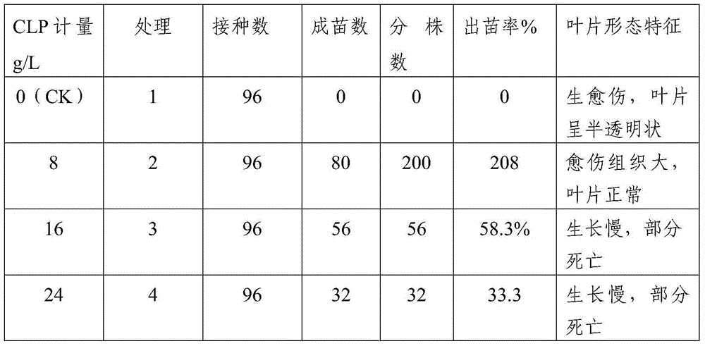 Method for overcoming vitrification in shoot tip culture of carnations by using high-molecular water-absorbent resin