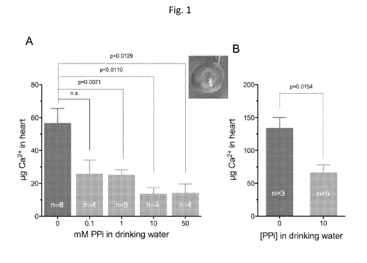 Oral pyrophosphate for use in reducing tissue calcification