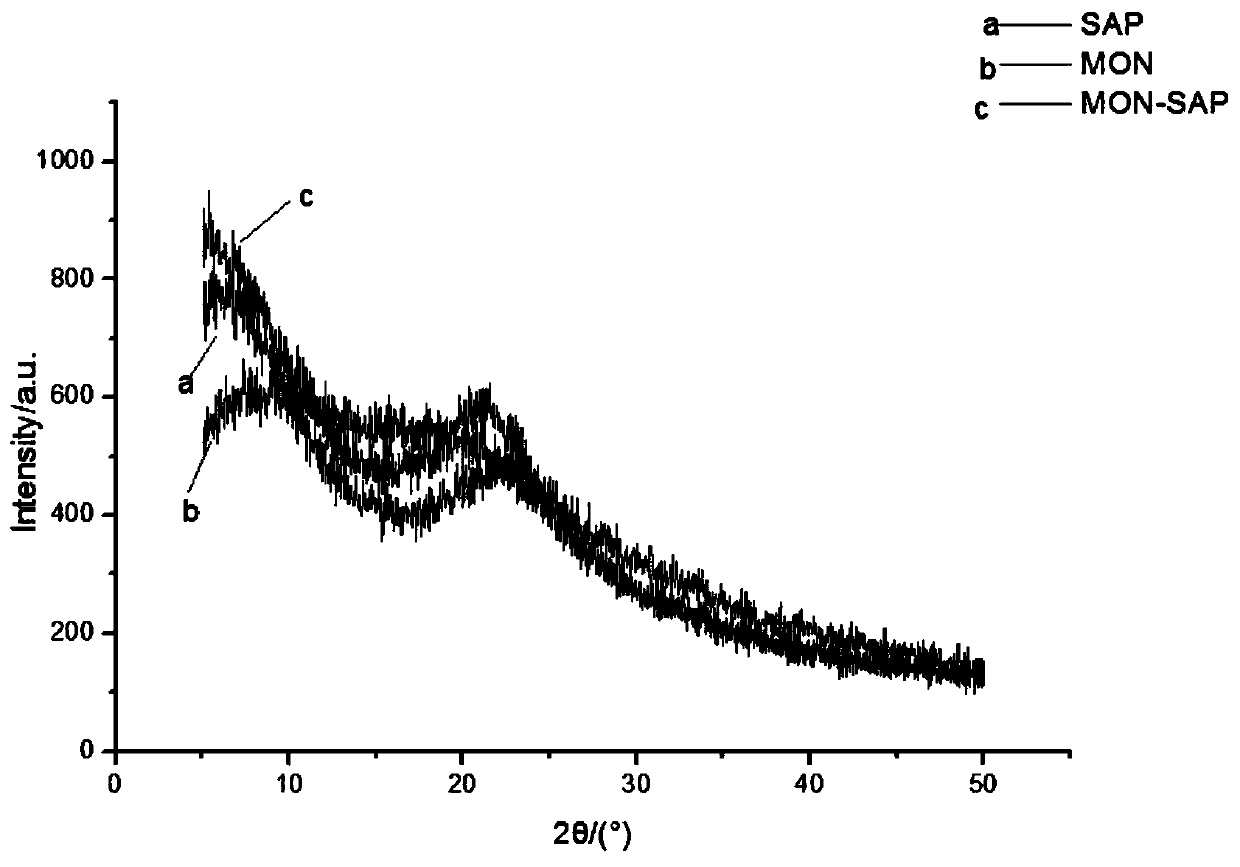 Organosilicon/sarcodon quel polysaccharide nano-composite, preparation method and application thereof