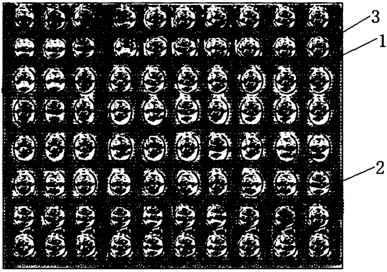 Moss tile and manufacturing method thereof