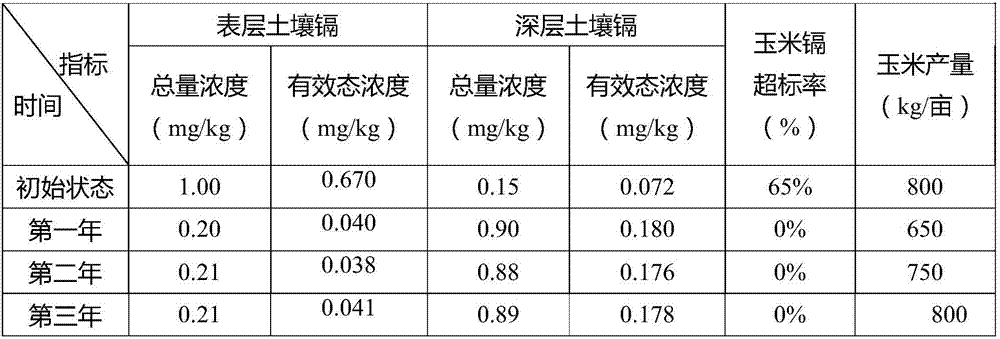 Barrier layer based safe utilization method for cadmium-polluted farmlands