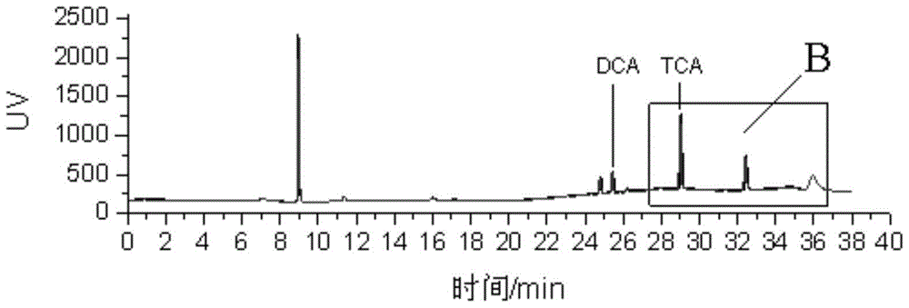 Method for synchronously determining content of trihalomethane and haloacetic acid in drinking water