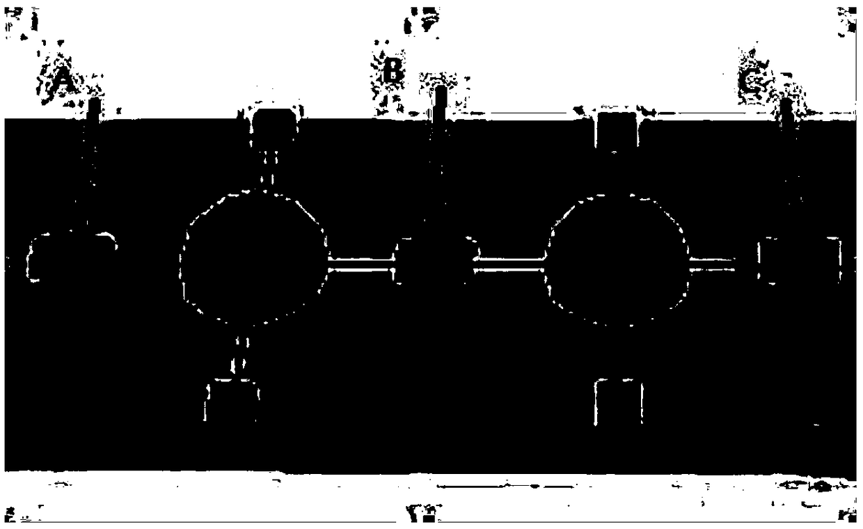 Method and apparatus for generating dynamic route