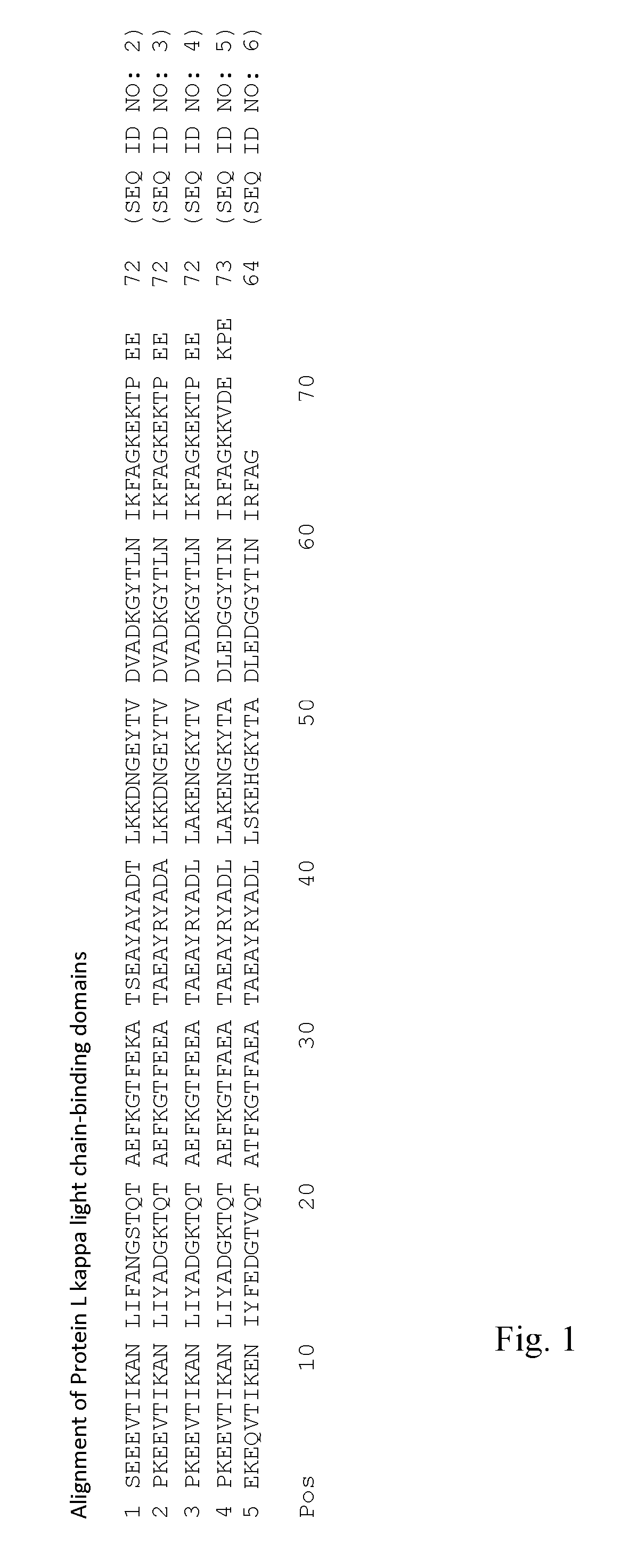 Modified Kappa Light Chain-Binding Polypeptides