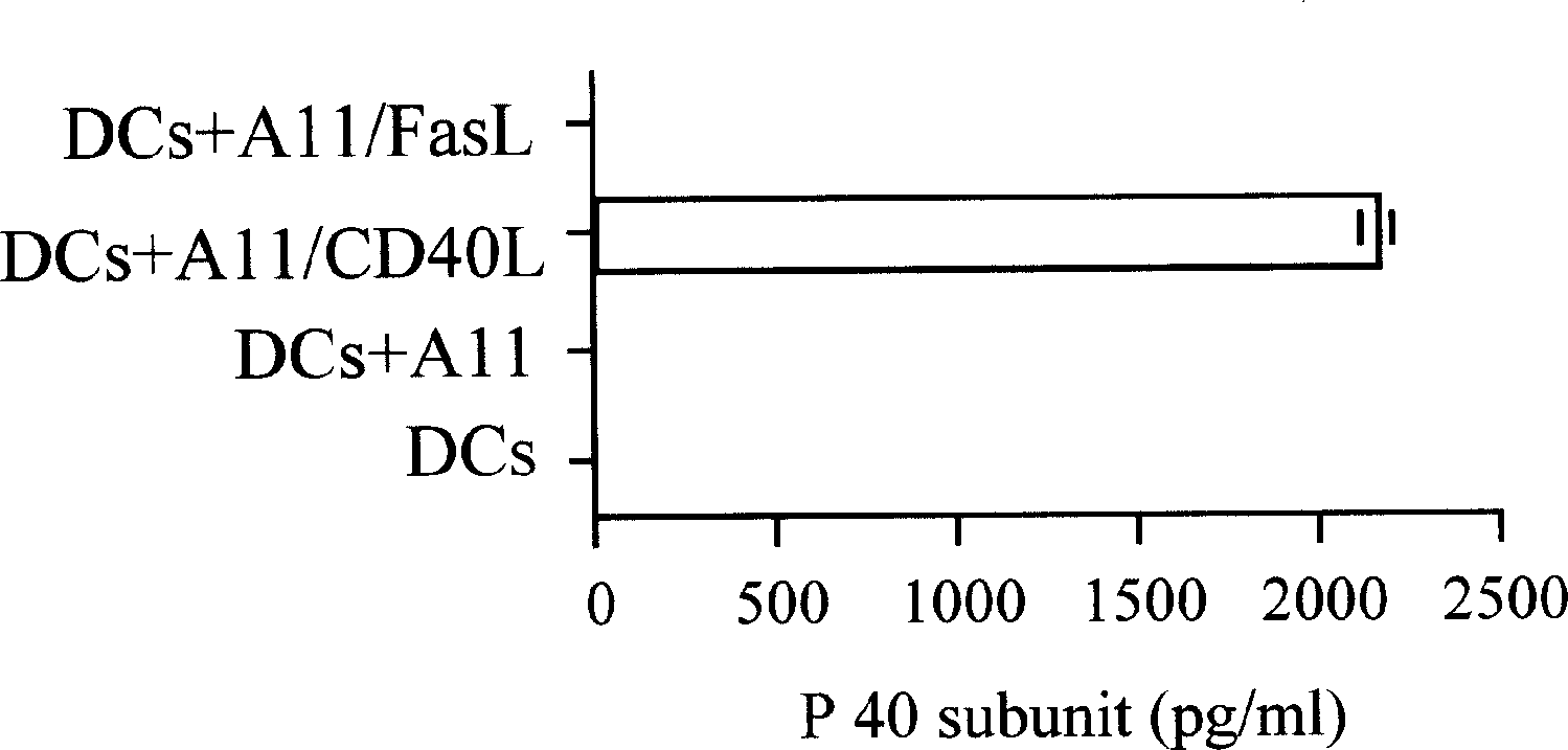 Anti-tumor agent using interleukin-23 gene