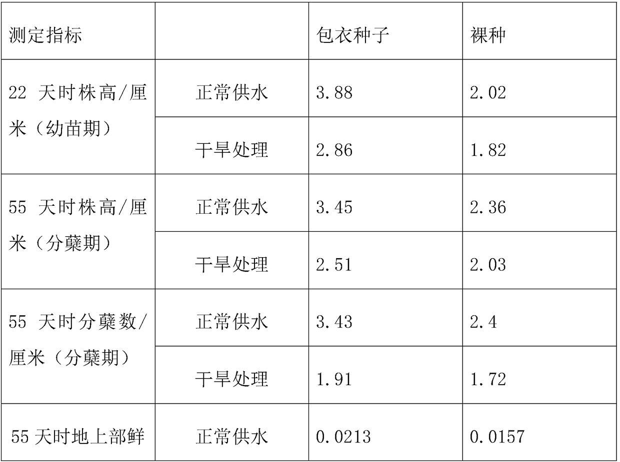 Seed coating agent and coated seed