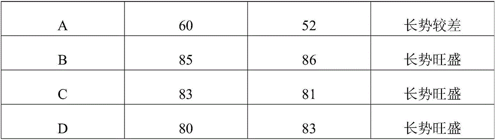 Green plant insecticide and preparation method thereof