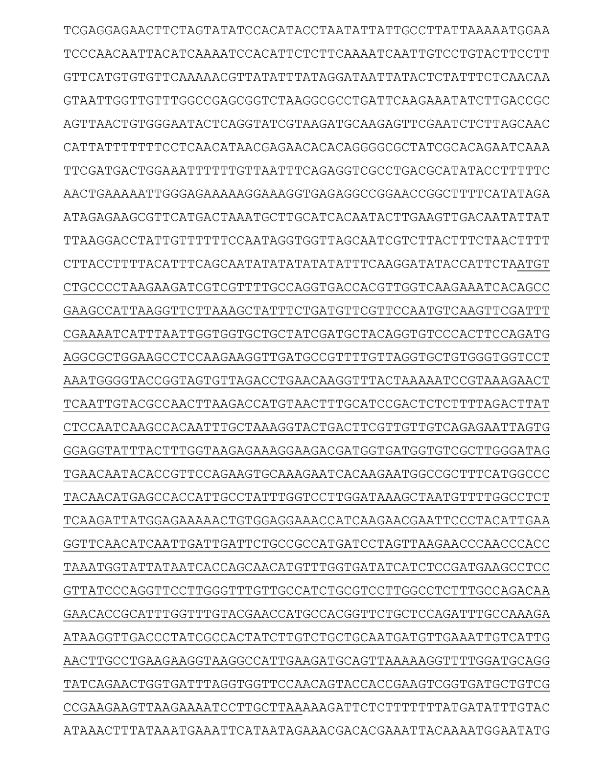 Expression cartridge for the transformation of eukaryotic cells, method for transforming eukaryotic cells, genetically modified organism, method for producing biofuels and/or biochemicals, and thus produced biofuel and/or biochemical