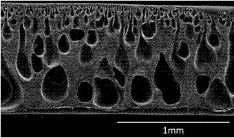 A kind of fluorine-containing polyurethane porous membrane