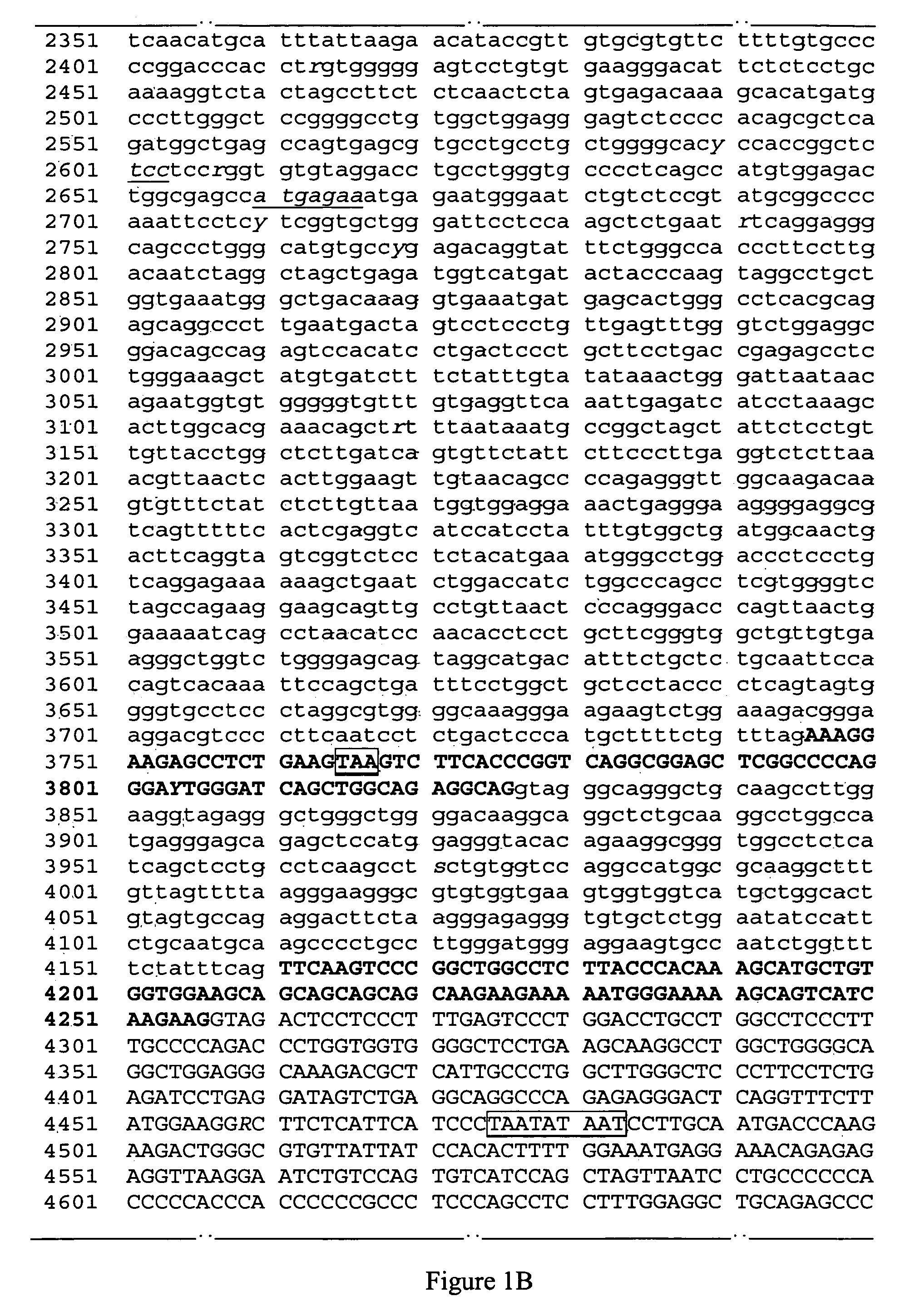 Identification of the gene and mutation responsible for progressive rod-cone degeneration in dog and a method for testing same