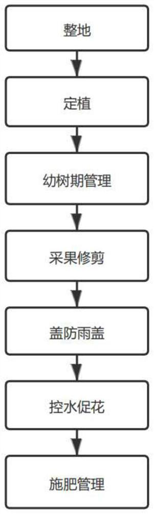 Method suitable for lemon anti-season autumn flower and fruit cultivation