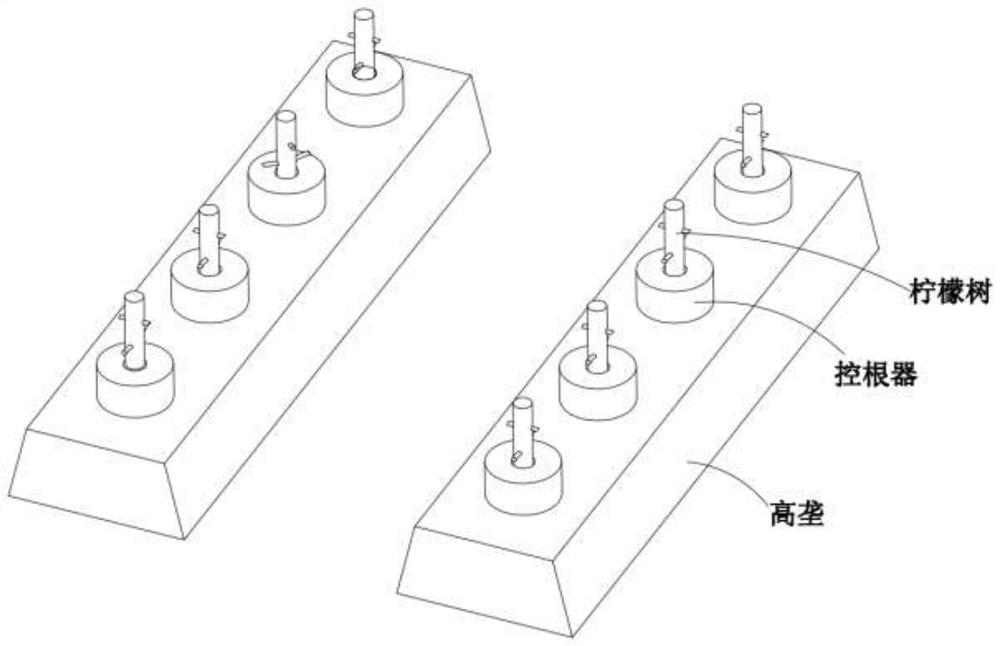 Method suitable for lemon anti-season autumn flower and fruit cultivation