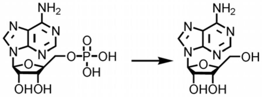 Method for preparing adenosine