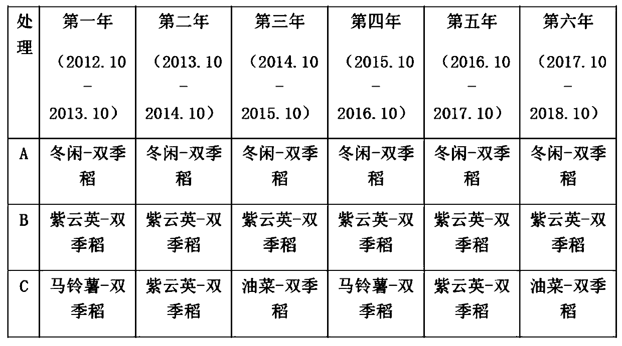 Winter multiple-cropping crop-rotation planting mode of double-cropping rice field