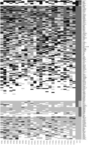 Method for detecting tumor single cell somatic mutation