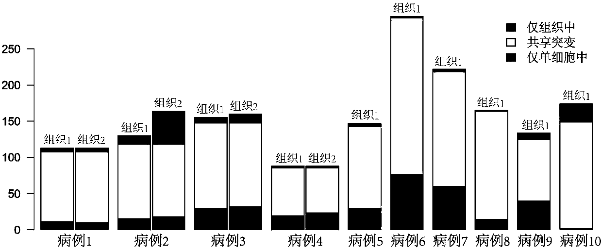 Method for detecting tumor single cell somatic mutation