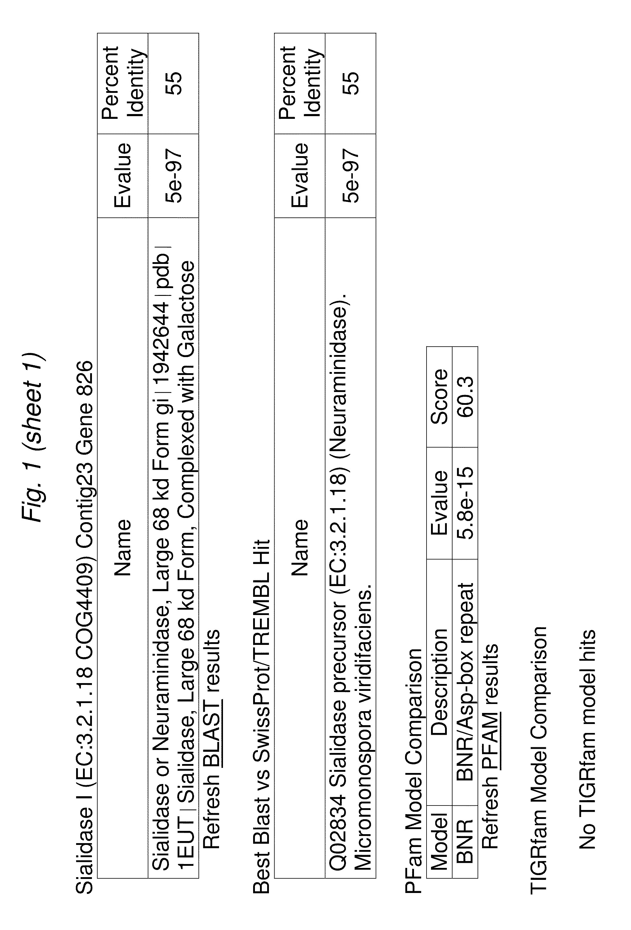 Bifidobacterial gene sequences and their use