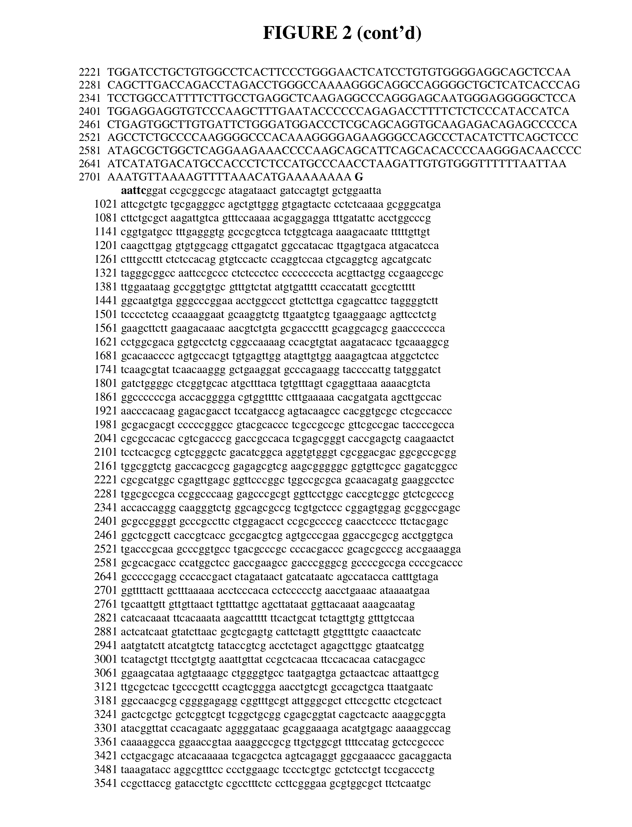 Cells genetically modified to comprise pancreatic islet glucokinase and uses thereof