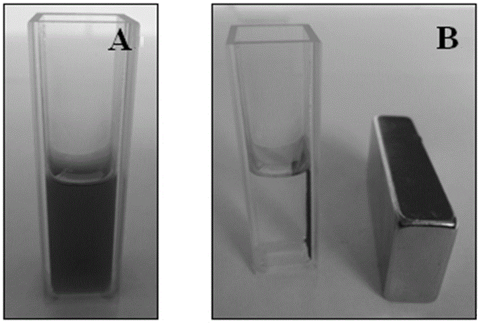 A human epididymis protein immunoassay kit and its application method