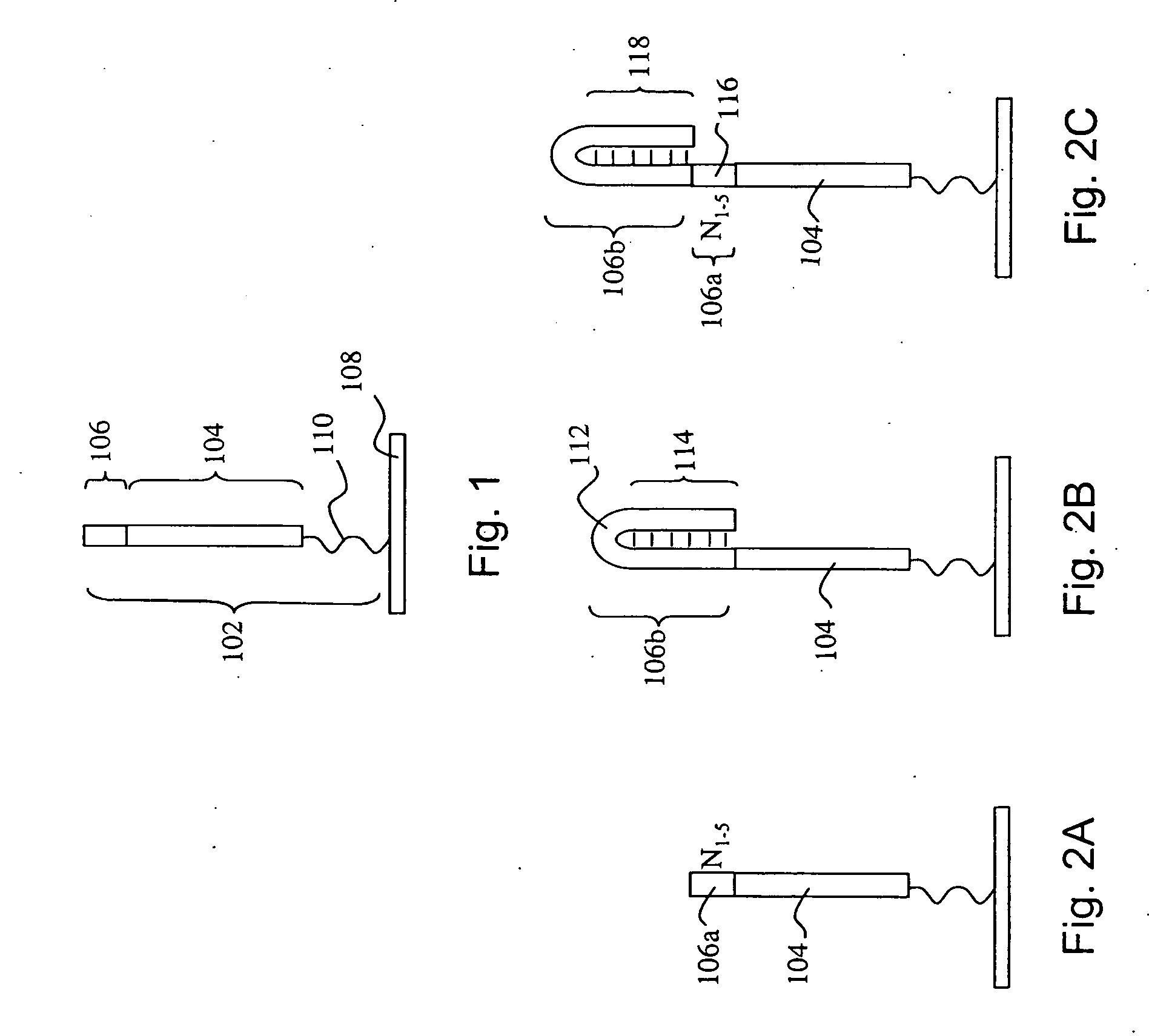 Analysis of microRNA