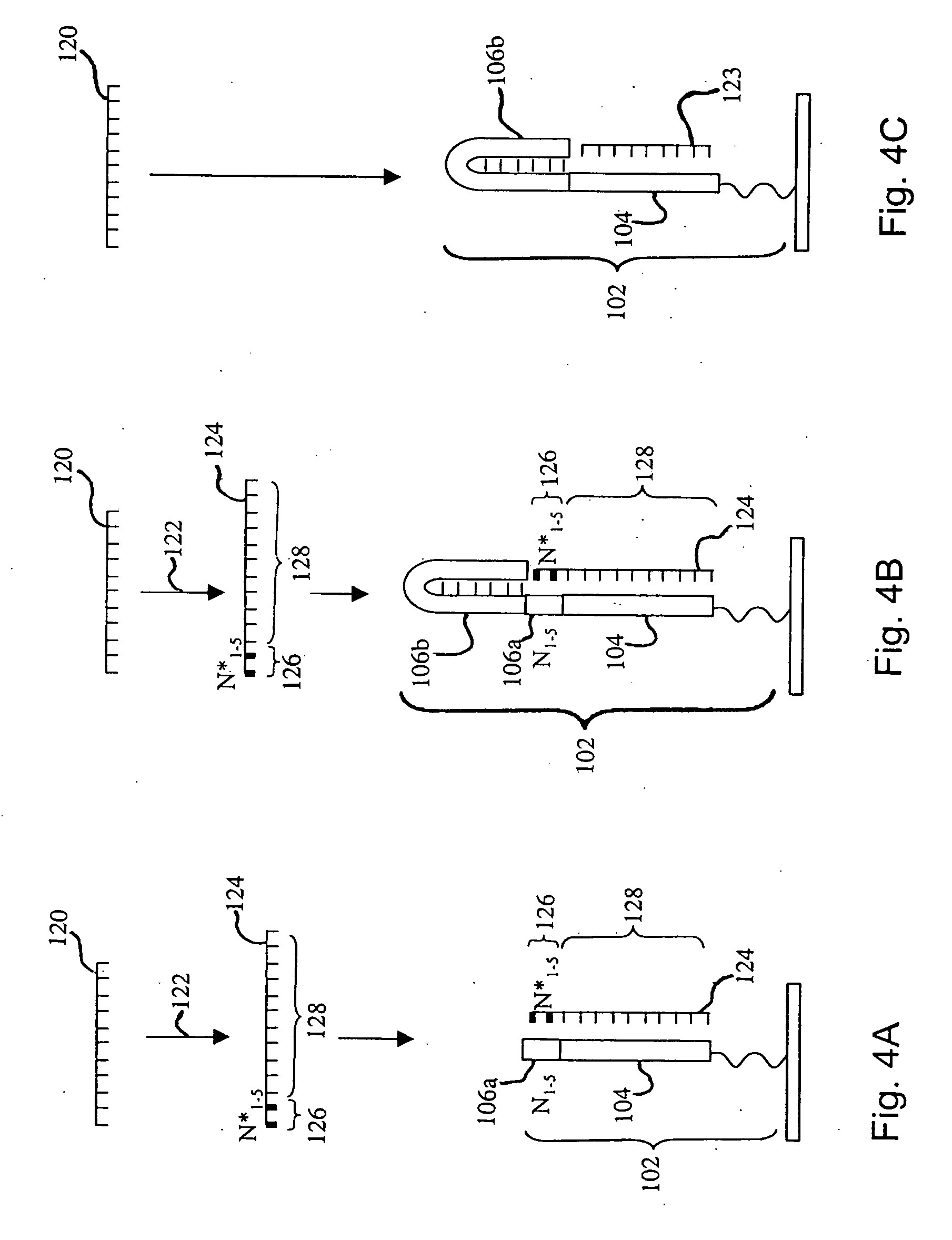 Analysis of microRNA