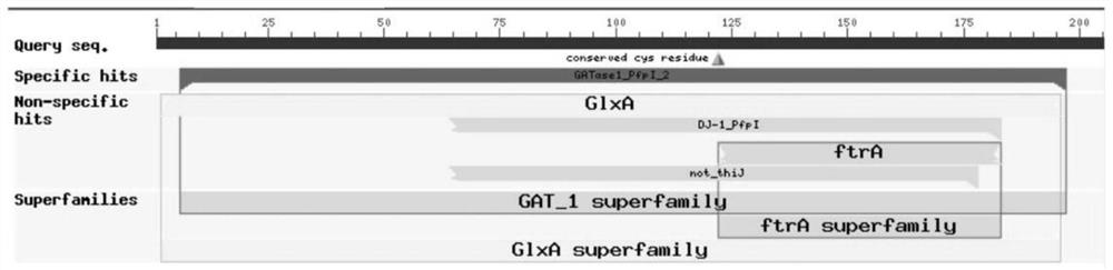 Application of BcSfp1 gene in prevention and treatment of plant gray mold and improvement of disease resistance