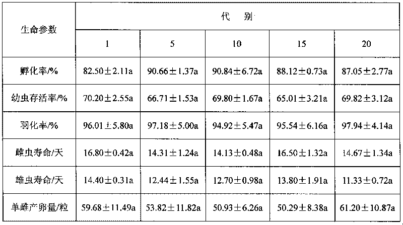 Artificial feed for Grapholitha molesta Busck larvae and preparation method thereof