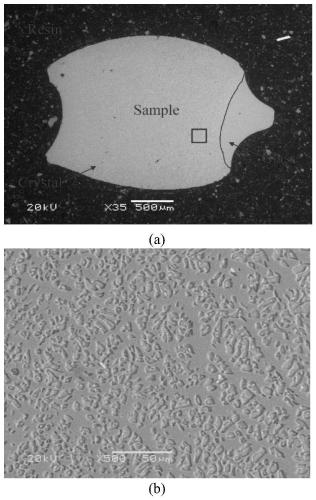 Application of casting powder in high-casting-speed continuous casting peritectic steel