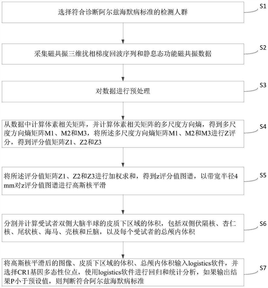 Alzheimer's disease detection method based on network graph theory analysis