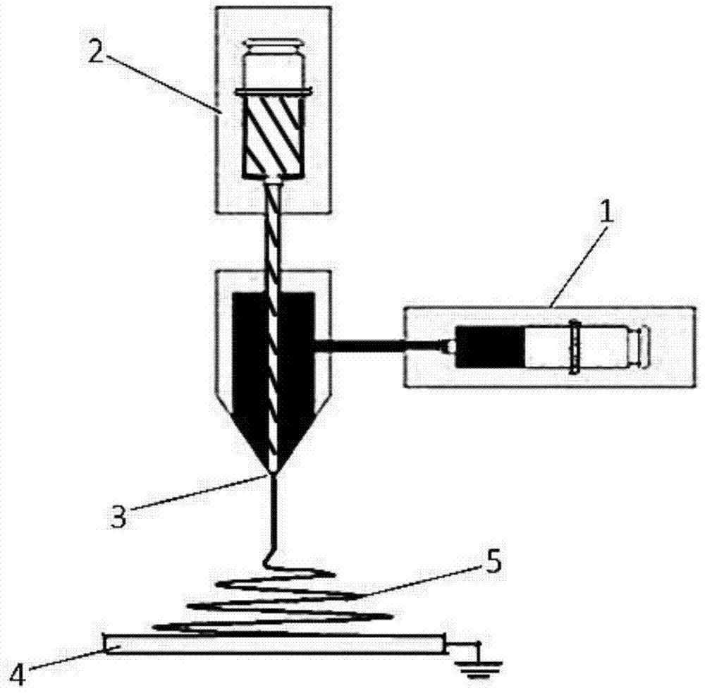 Coaxial electrostatic spinning fibrous scaffold and preparation method thereof