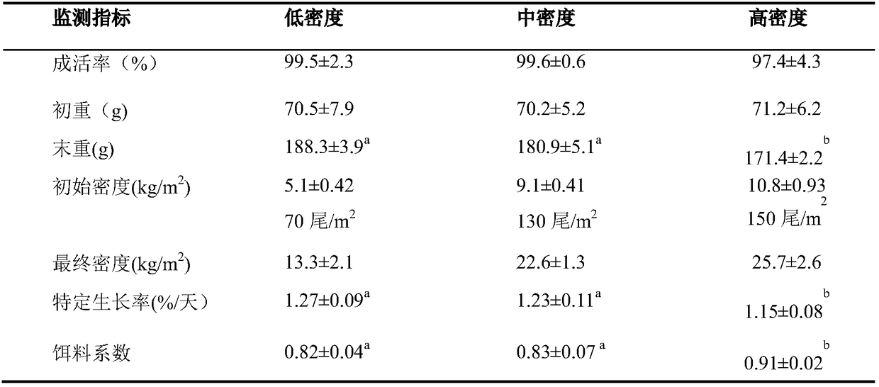 Scophthalmus maximus circulating water three-stage breeding method