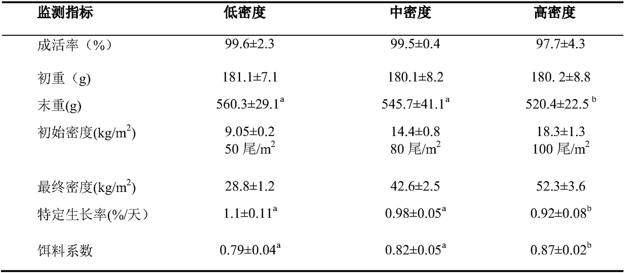 Scophthalmus maximus circulating water three-stage breeding method