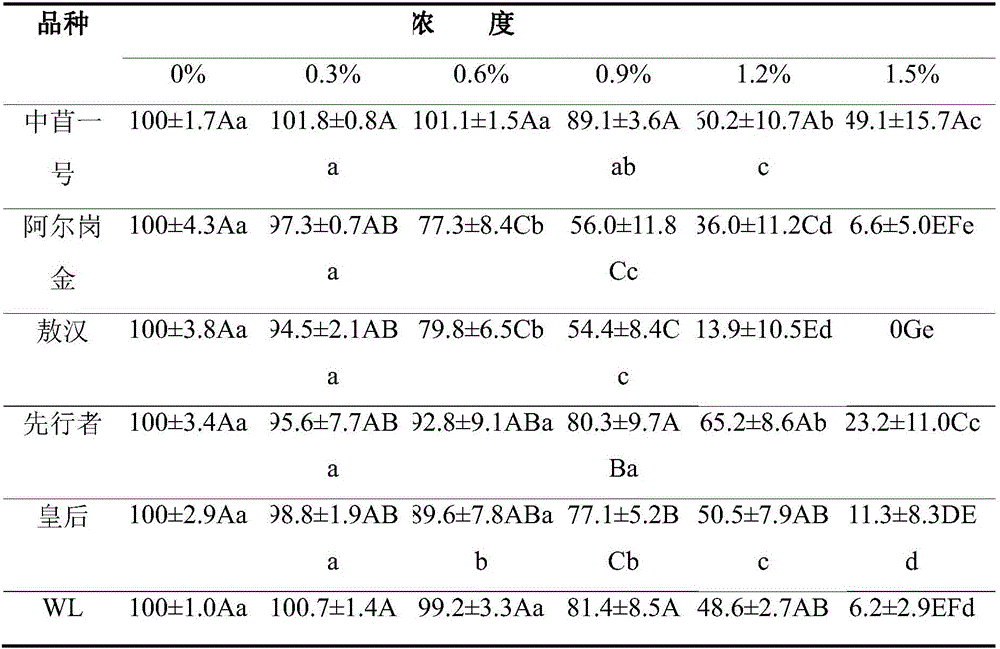 Method for evaluating salt resistance of herbaceous ground cover plant seeds