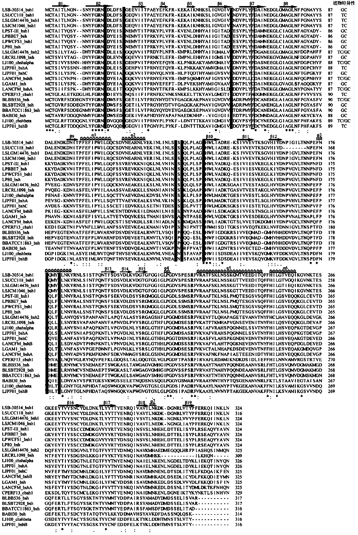 Bile salt hydrolase (BSH) mutant and use thereof