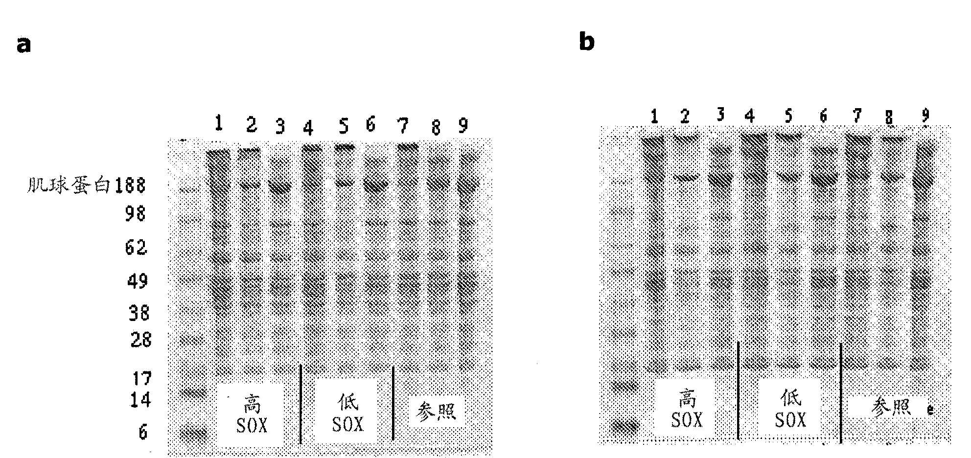 Improving enzymatic treatment of a proteinaceous substrate by enzymatic removal of free thiols