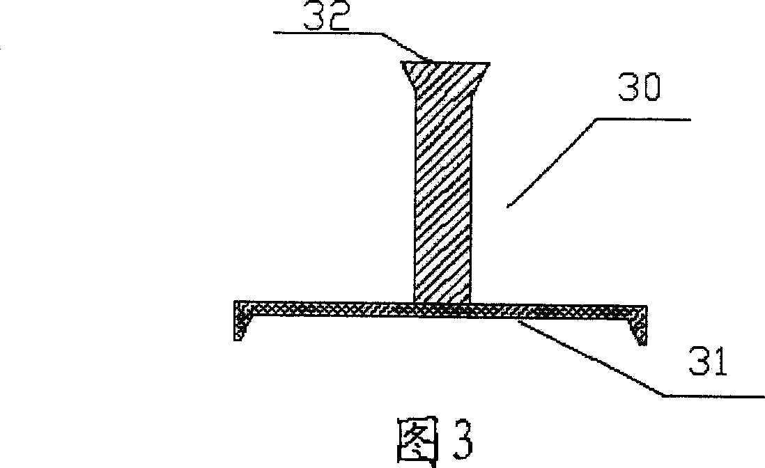 Vetebrae anterior biological osteogenesis-inducing type internal fixing device