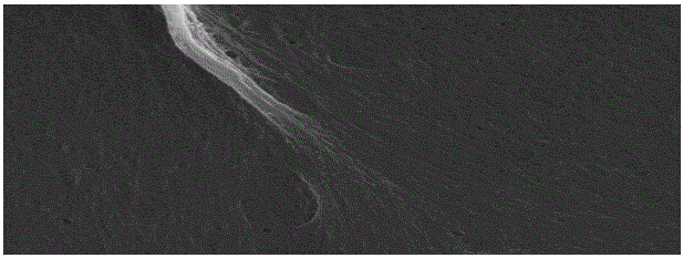 Soft tissue engineering porous scaffold and preparation method thereof