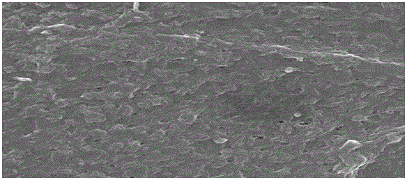 Soft tissue engineering porous scaffold and preparation method thereof