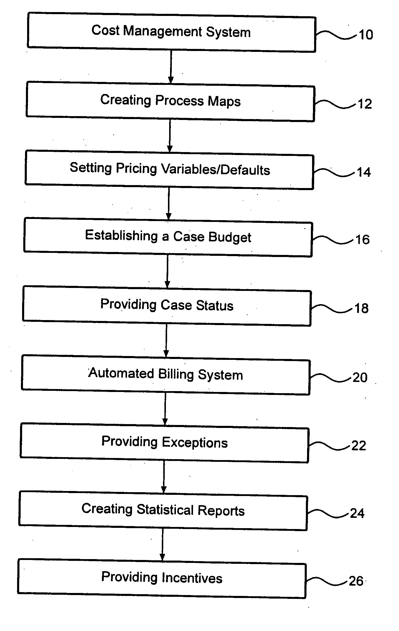 Litigation cost management system