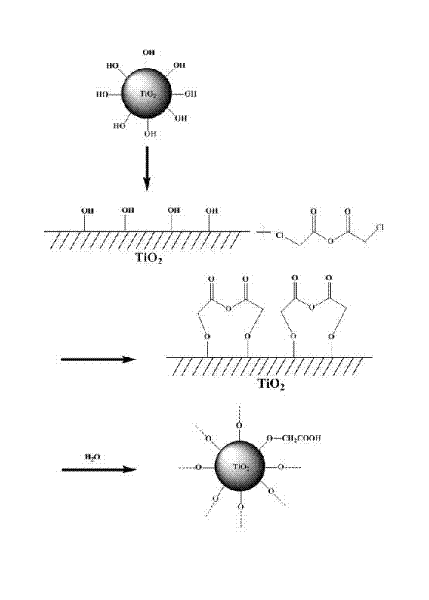 Modified titanium dioxide grain, super-hydrophilic transparent thin film and preparation method thereof