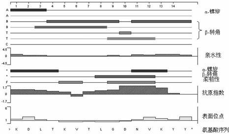 Transient receptor potential channel-6 (TRPC6) antigen polypeptide and anti-TRPC6 monoclonal antibody