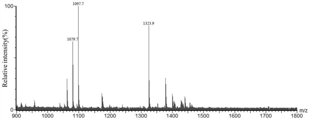 Escherichia coli for synthesizing monophosphate lipoid A containing only three fatty acid chains