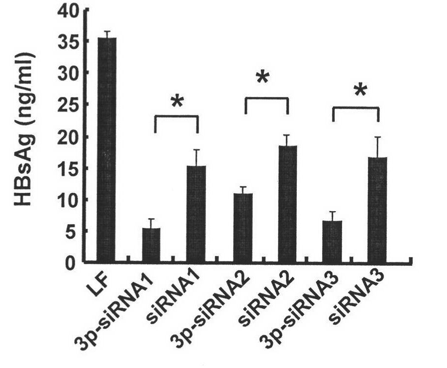 siRNA for treating hbv