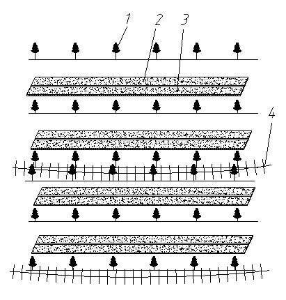 Method for interplanting cultivation of annulate in orange garden in Three Gorges Reservoir Area