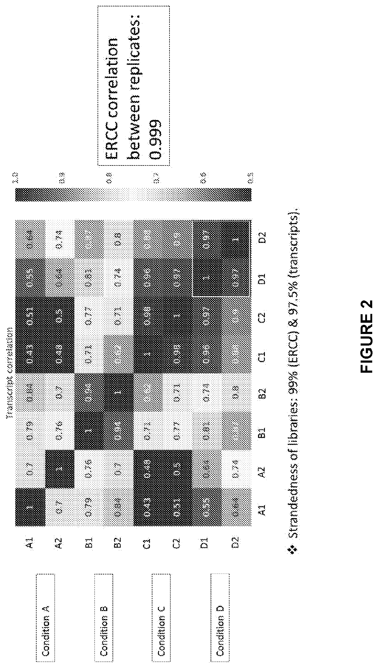 Sequencing and analysis of exosome associated nucleic acids